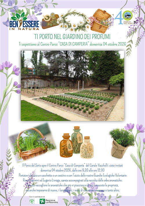 Raccolta delle piantine aromatiche