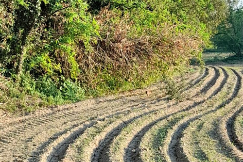Parco del Serio. Progetto "Custodire comunità rurali"